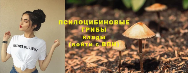 амф Армянск