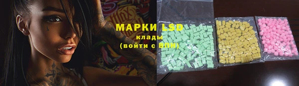 spice Аркадак