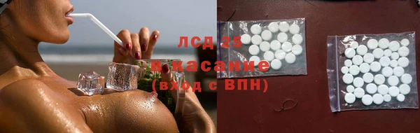 spice Аркадак