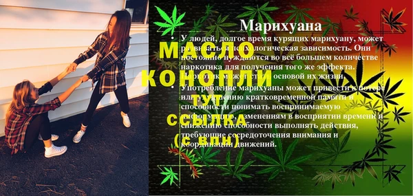 spice Аркадак